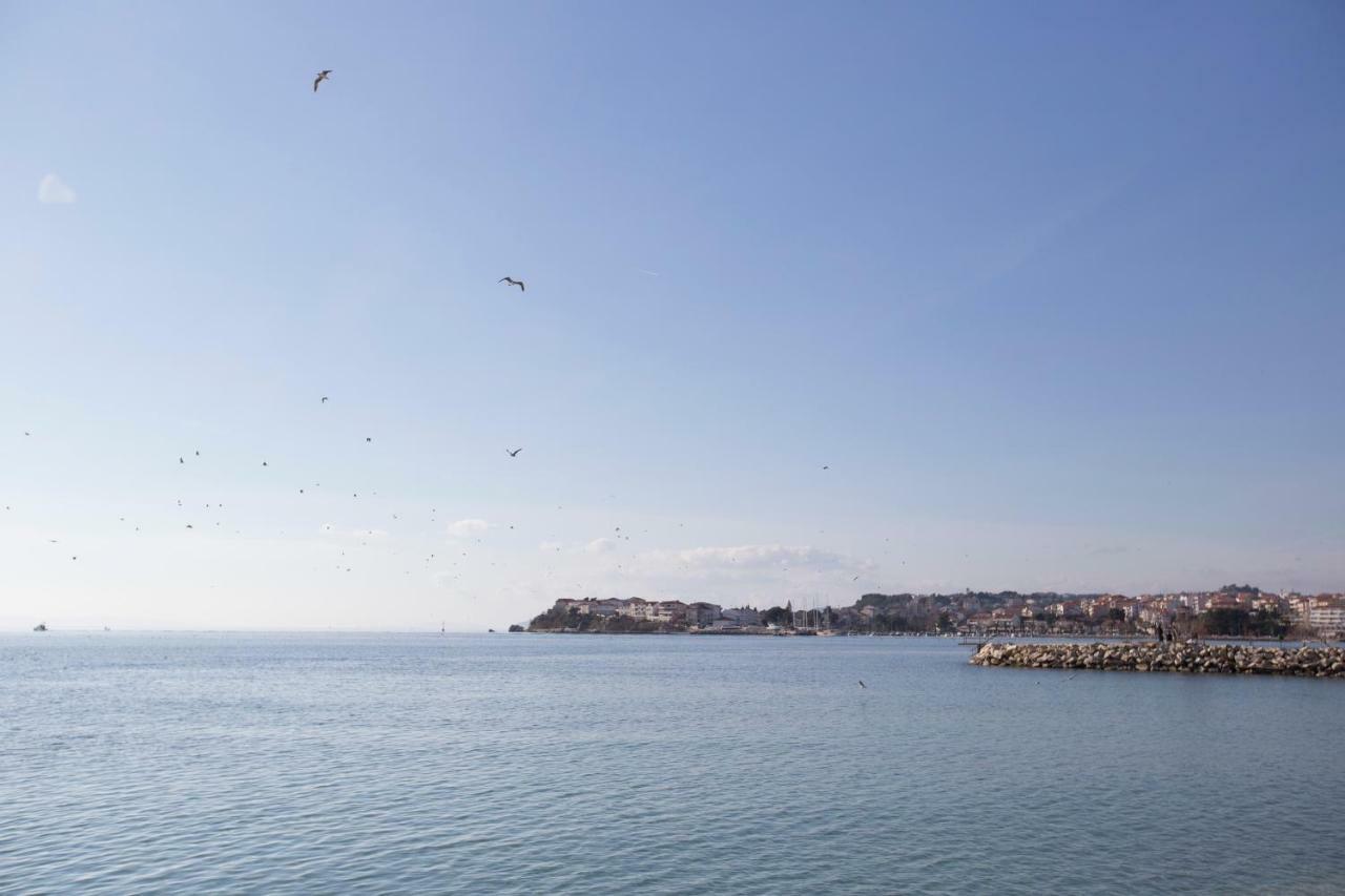 Luxury Apartments Mia Ποντστράνα Εξωτερικό φωτογραφία